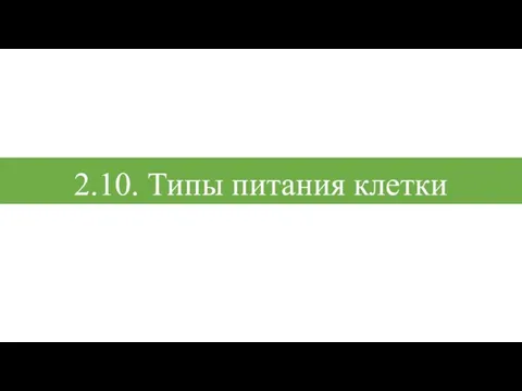 2.10. Типы питания клетки