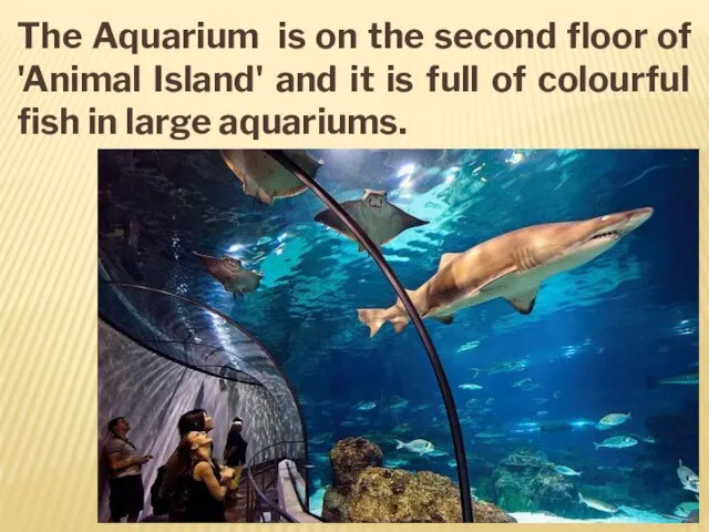 The Aquarium is on the second floor of 'Animal Island' and