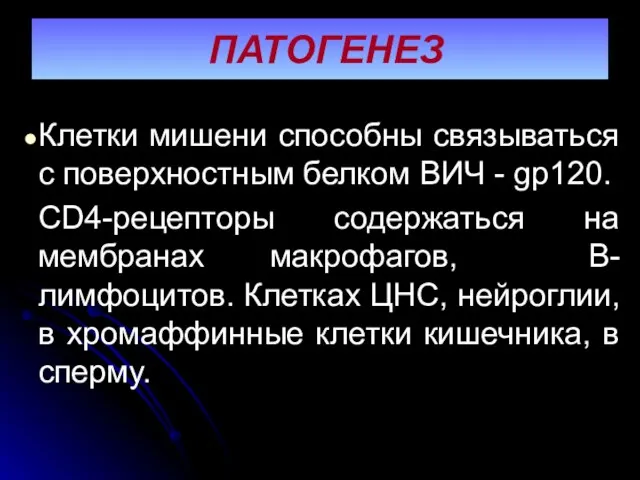 ПАТОГЕНЕЗ Клетки мишени способны связываться с поверхностным белком ВИЧ - gp120.