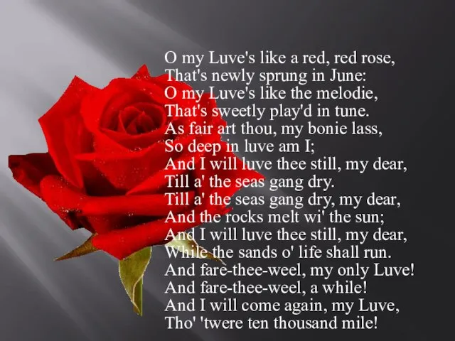 O my Luve's like a red, red rose, That's newly sprung