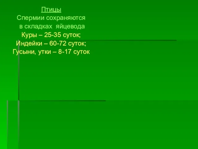 Птицы Спермии сохраняются в складках яйцевода Куры – 25-35 суток; Индейки