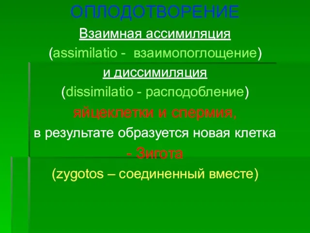 ОПЛОДОТВОРЕНИЕ Взаимная ассимиляция (assimilatio - взаимопоглощение) и диссимиляция (dissimilatio - расподобление)