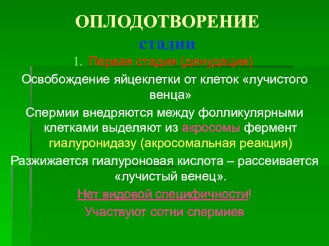 ОПЛОДОТВОРЕНИЕ стадии Первая стадия (денудация) Освобождение яйцеклетки от клеток «лучистого венца»