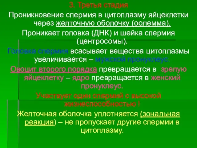 3. Третья стадия Проникновение спермия в цитоплазму яйцеклетки через желточную оболочку