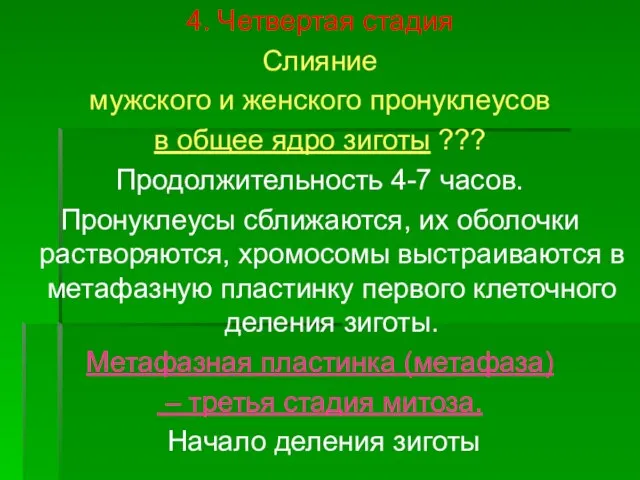 4. Четвертая стадия Слияние мужского и женского пронуклеусов в общее ядро