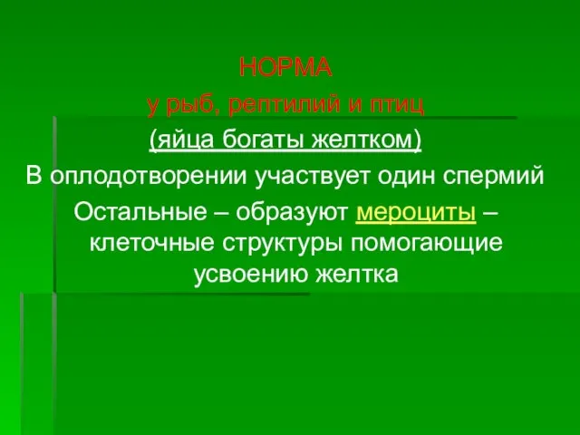 НОРМА у рыб, рептилий и птиц (яйца богаты желтком) В оплодотворении