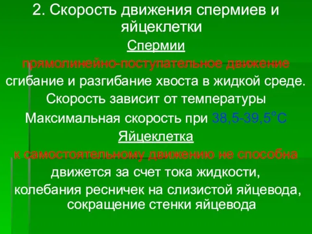 2. Скорость движения спермиев и яйцеклетки Спермии прямолинейно-поступательное движение сгибание и