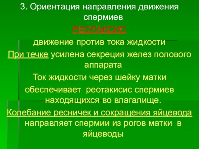 3. Ориентация направления движения спермиев РЕОТАКСИС движение против тока жидкости При