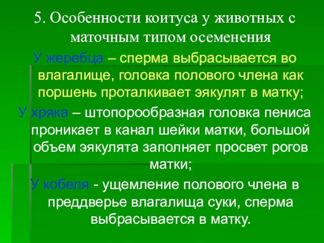 5. Особенности коитуса у животных с маточным типом осеменения У жеребца