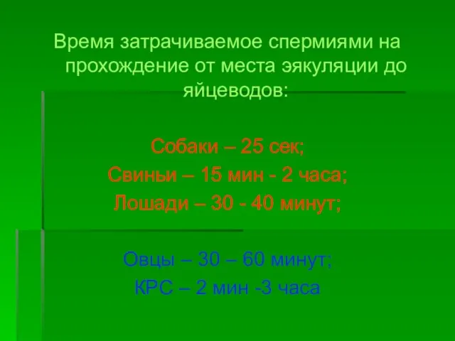 Время затрачиваемое спермиями на прохождение от места эякуляции до яйцеводов: Собаки