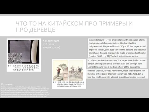 ЧТО-ТО НА КИТАЙСКОМ ПРО ПРИМЕРЫ И ПРО ДЕРЕВЦЕ Источник: http://www.sec.ntnu.edu.tw/Monthly/104(376-385)/382-PDF/02-104021-(%E7%9F%A5%E8%AD%98)%E4%BB%A5%E8%93%AA%E8%8D%89%E7%99%BC%E7%8F%BE%E5%8F%B2%E7%9C%8B%E5%8D%9A%E7%89%A9%E5%AD%B8%E7%9A%84%E6%8E%A2%E7%A9%B6%E6%AD%B7%E7%A8%8B%E8%88%87%E7%9F%A5%E8%AD%98%E7%99%BC%E5%B1%95%E7%89%B9%E6%80%A7(liusy%E6%A0%A1%E7%A8%BF).pdf Как выглядит луб (+под микроскопом)