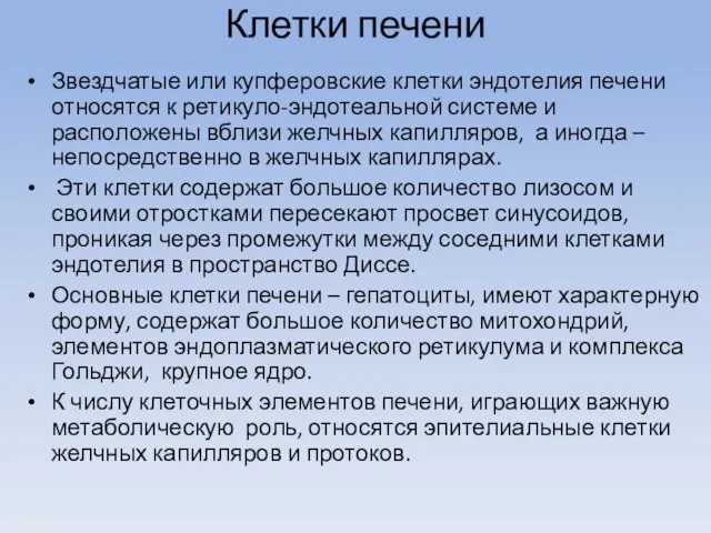 Клетки печени Звездчатые или купферовские клетки эндотелия печени относятся к ретикуло-эндотеальной