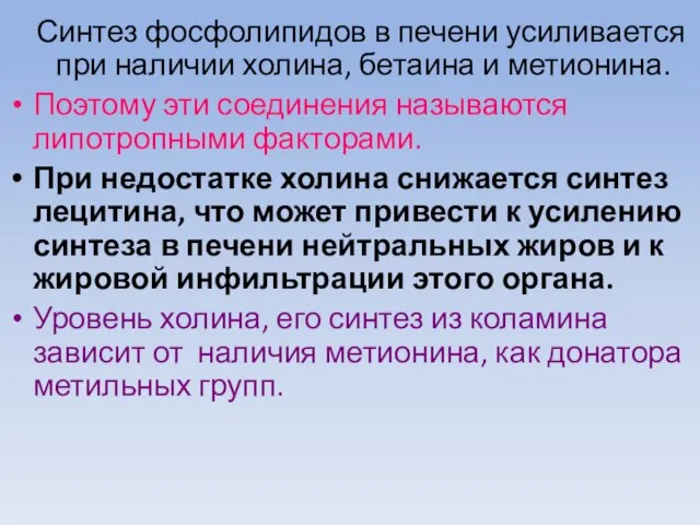 Синтез фосфолипидов в печени усиливается при наличии холина, бетаина и метионина.