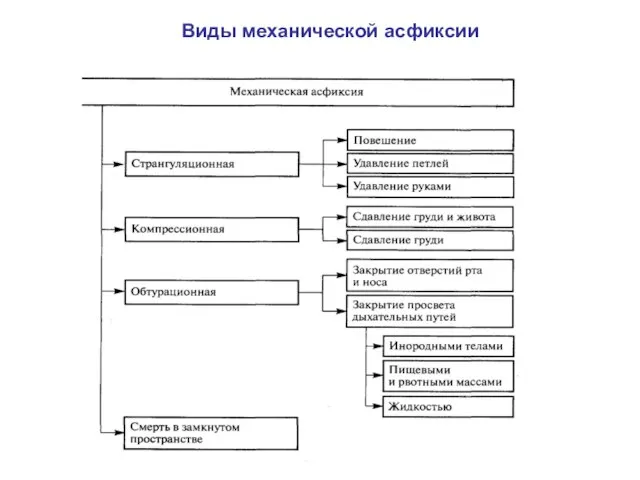 Виды механической асфиксии