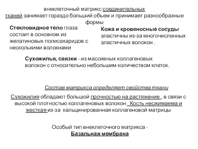 внеклеточный матрикс соединительных тканей занимает гораздо больший объем и принимает разнообразные