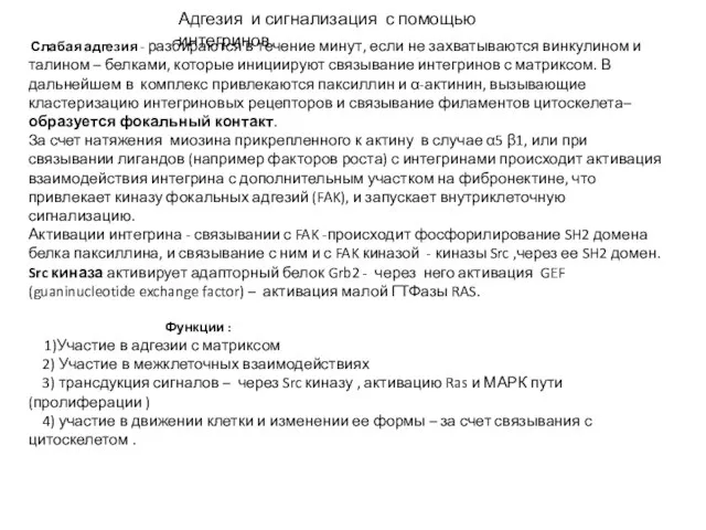 Адгезия и сигнализация с помощью интегринов Слабая адгезия - разбираются в