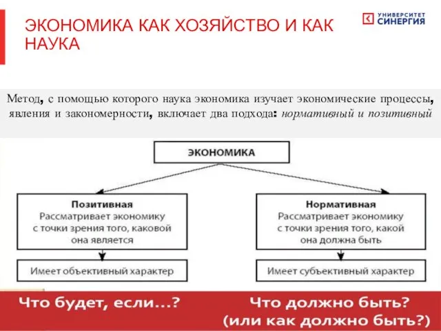 Метод, с помощью которого наука экономика изучает экономические процессы, явления и