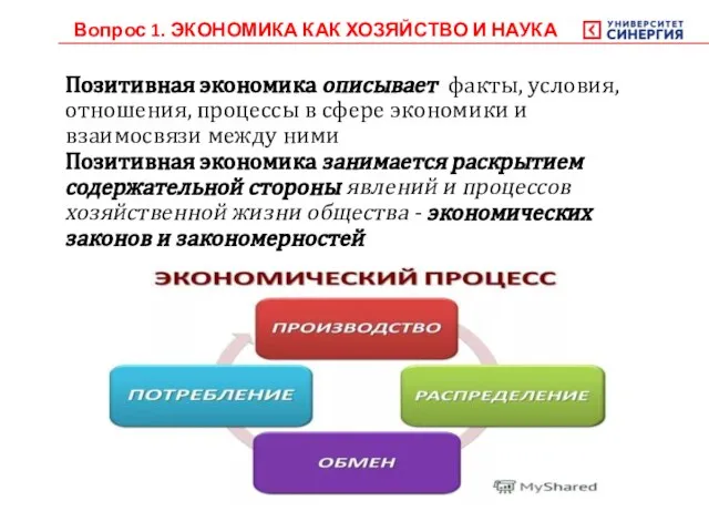 Позитивная экономика описывает факты, условия, отношения, процессы в сфере экономики и