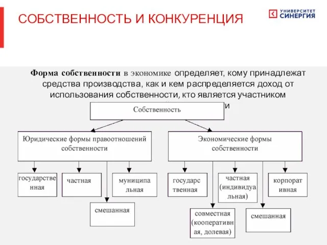 Форма собственности в экономике определяет, кому принадлежат средства производства, как и