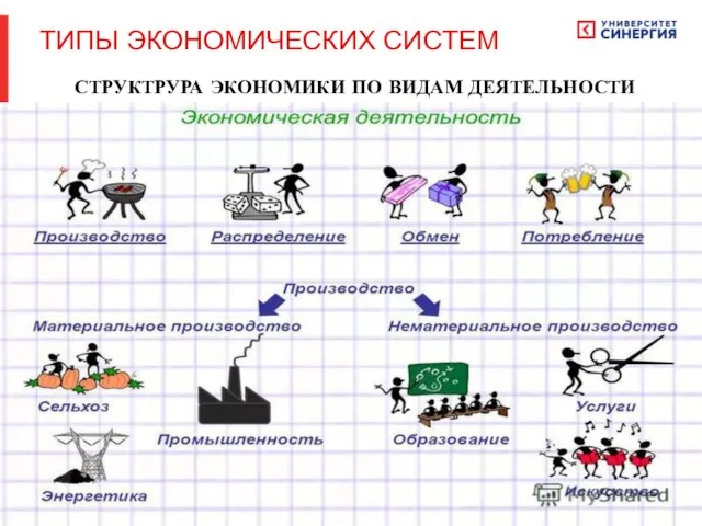 СТРУКТРУРА ЭКОНОМИКИ ПО ВИДАМ ДЕЯТЕЛЬНОСТИ ТИПЫ ЭКОНОМИЧЕСКИХ СИСТЕМ