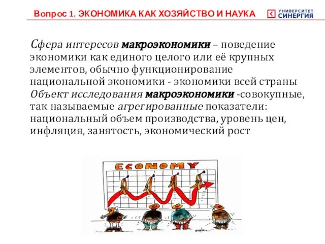 Сфера интересов макроэкономики – поведение экономики как единого целого или её