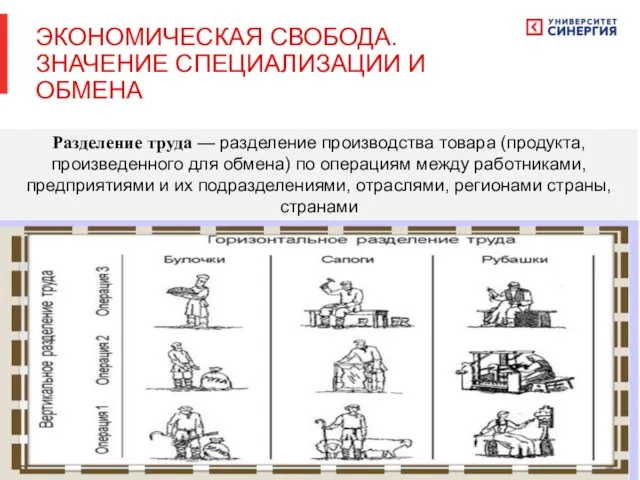 Разделение труда — разделение производства товара (продукта, произведенного для обмена) по