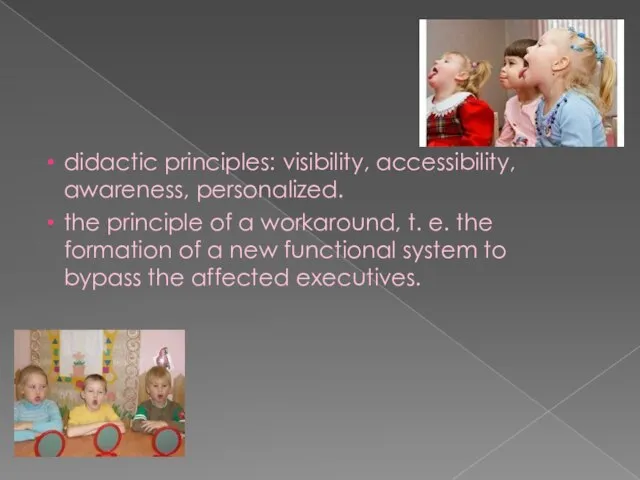 didactic principles: visibility, accessibility, awareness, personalized. the principle of a workaround,