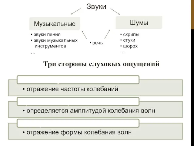 Три стороны слуховых ощущений Звуки Музыкальные Шумы • звуки пения •