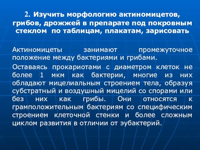 2. Изучить морфологию актиномицетов, грибов, дрожжей в препарате под покровным стеклом