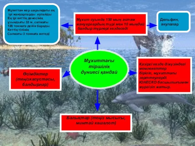 Мұхиттағы тіршілік дүниесі қандай Мұхит суында 150 мың астам жануарлардың түрі