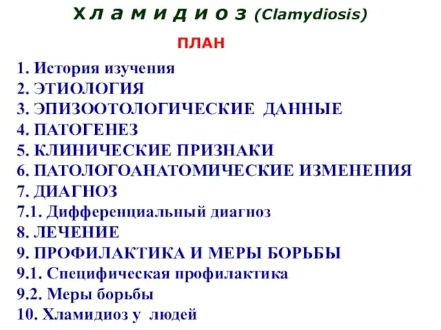Х л а м и д и о з (Clamydiosis) ПЛАН