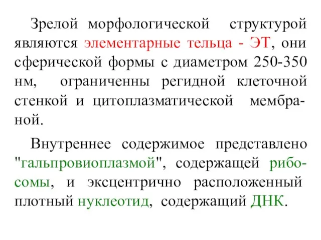 Зрелой морфологической структурой являются элементарные тельца - ЭТ, они сферической формы