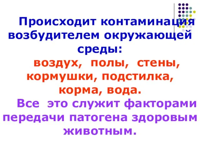 Происходит контаминация возбудителем окружающей среды: воздух, полы, стены, кормушки, подстилка, корма,