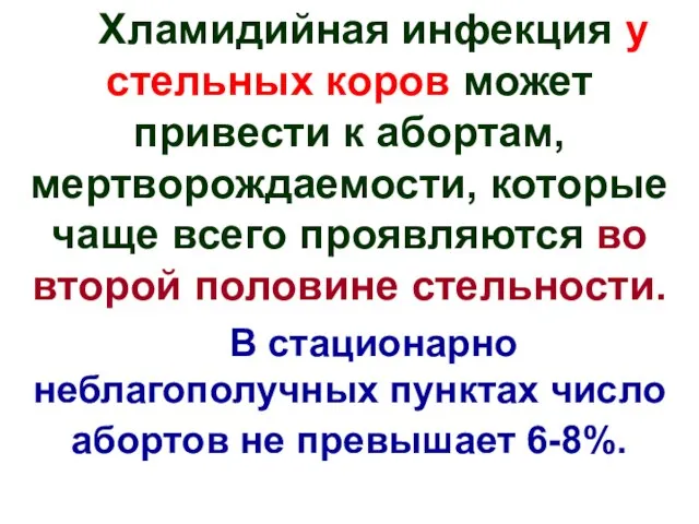 Хламидийная инфекция у стельных коров может привести к абортам, мертворождаемости, которые