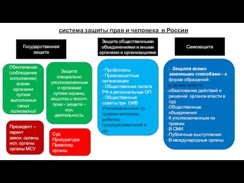 система защиты прав и человека в России Защита общественными объединениями и
