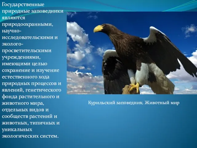 Государственные природные заповедники являются природоохранными, научно-исследовательскими и эколого-просветительскими учреждениями, имеющими целью