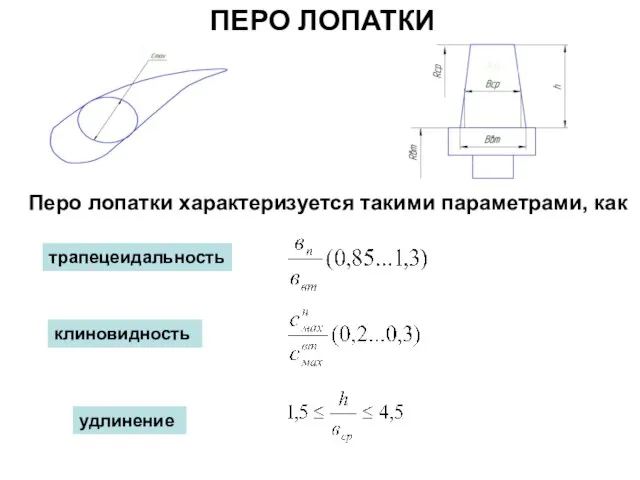 ПЕРО ЛОПАТКИ Перо лопатки характеризуется такими параметрами, как клиновидность удлинение трапецеидальность