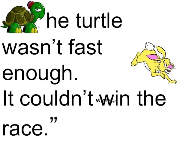 “The turtle wasn’t fast enough. It couldn’t win the race.”