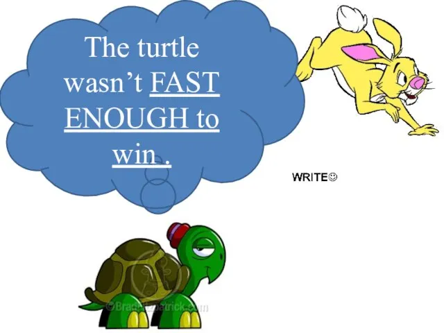 The turtle wasn’t FAST ENOUGH to win .