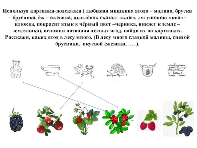 Используя картинки-подсказки ( любимая мишкина ягода – малина, бруски – брусника,