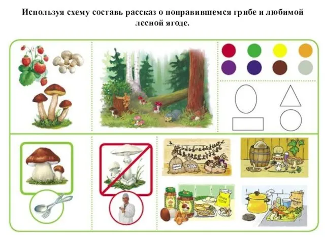 Используя схему составь рассказ о понравившемся грибе и любимой лесной ягоде.