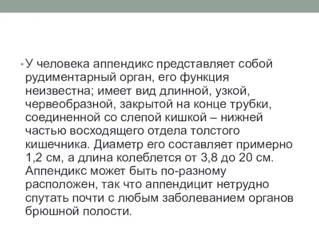 У человека аппендикс представляет собой рудиментарный орган, его функция неизвестна; имеет