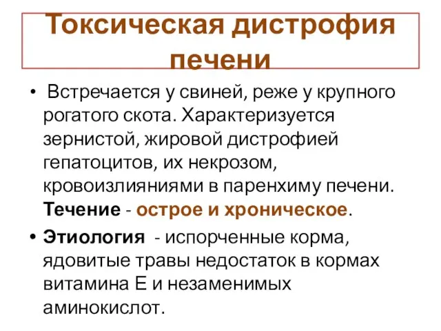 Токсическая дистрофия печени Встречается у свиней, реже у крупного рогатого скота.