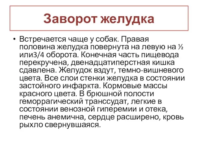 Заворот желудка Встречается чаще у собак. Правая половина желудка повернута на