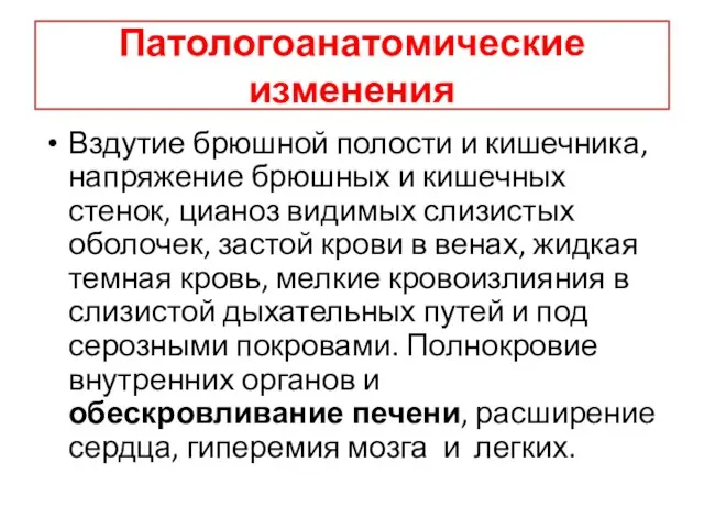 Патологоанатомические изменения Вздутие брюшной полости и кишечника, напряжение брюшных и кишечных