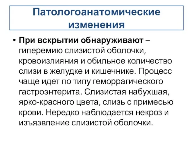 Патологоанатомические изменения При вскрытии обнаруживают – гиперемию слизистой оболочки, кровоизлияния и