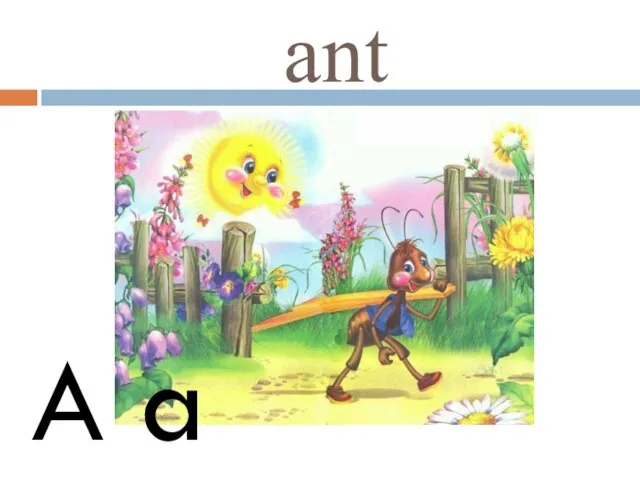 ant A a