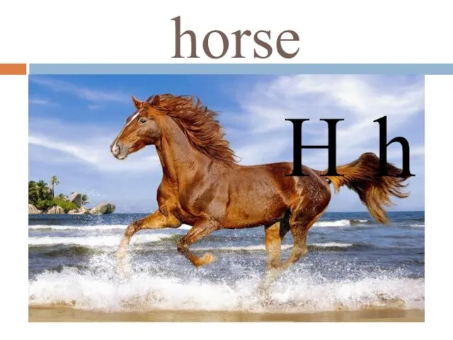 horse H h