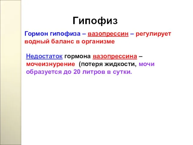 Недостаток гормона вазопрессина – мочеизнурение (потеря жидкости, мочи образуется до 20