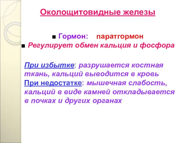 Околощитовидные железы ■ Гормон: паратгормон ■ Регулирует обмен кальция и фосфора